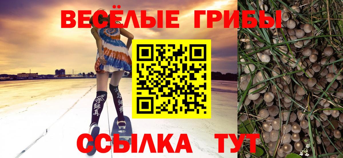 Советск  Галлюциногенные грибы мухоморы  Вход с VPN  Галлюциногенные грибы Psilocybe 