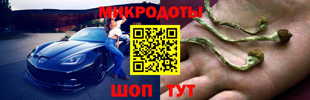 Псилоцибиновые грибы мухоморы Советск